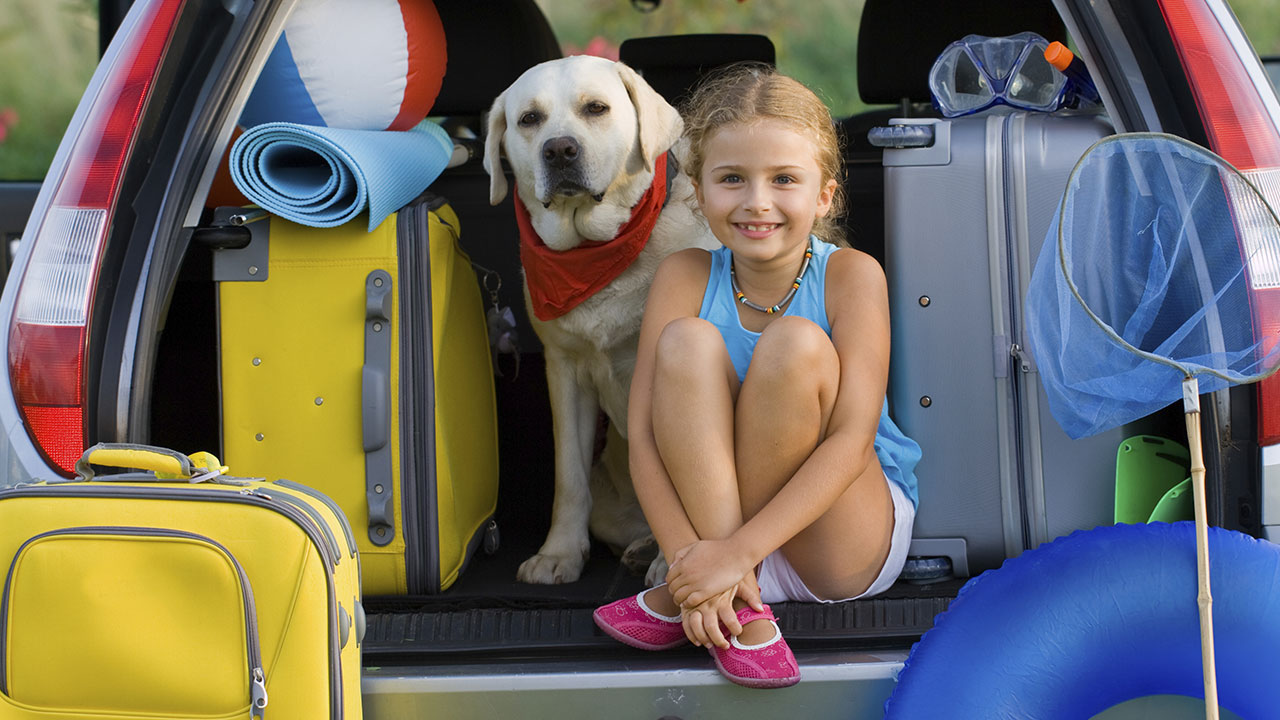 HITTING THE ROAD WITH YOUR FOUR LEGGED FRIEND