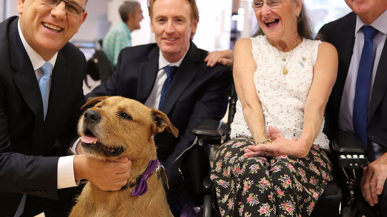 SHELTER DOG BRINGS COMPANIONSHIP TO PEOPLE WITH CEREBRAL PALSY