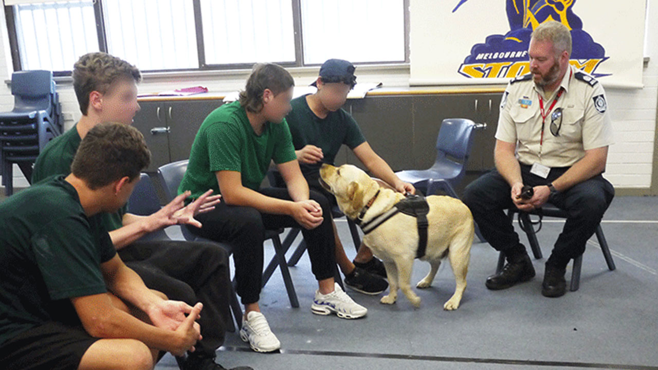TEACHING YOUNG OFFENDERS ABOUT ANIMAL WELFARE