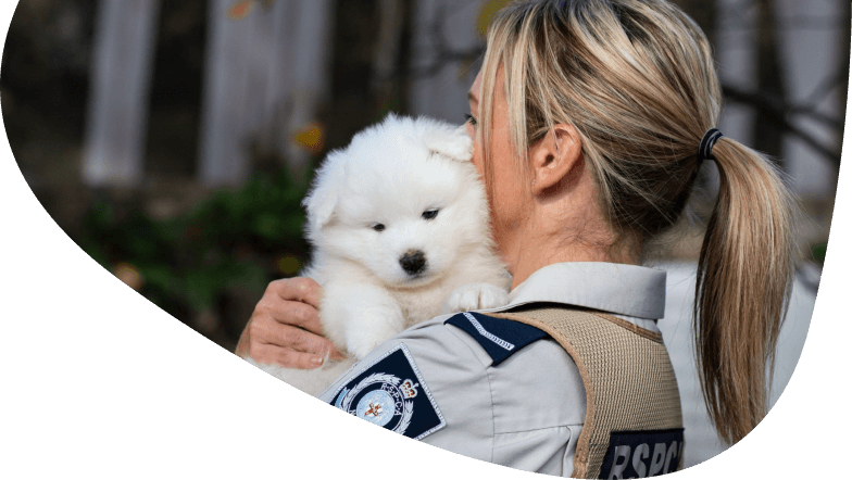 About RSPCA NSW