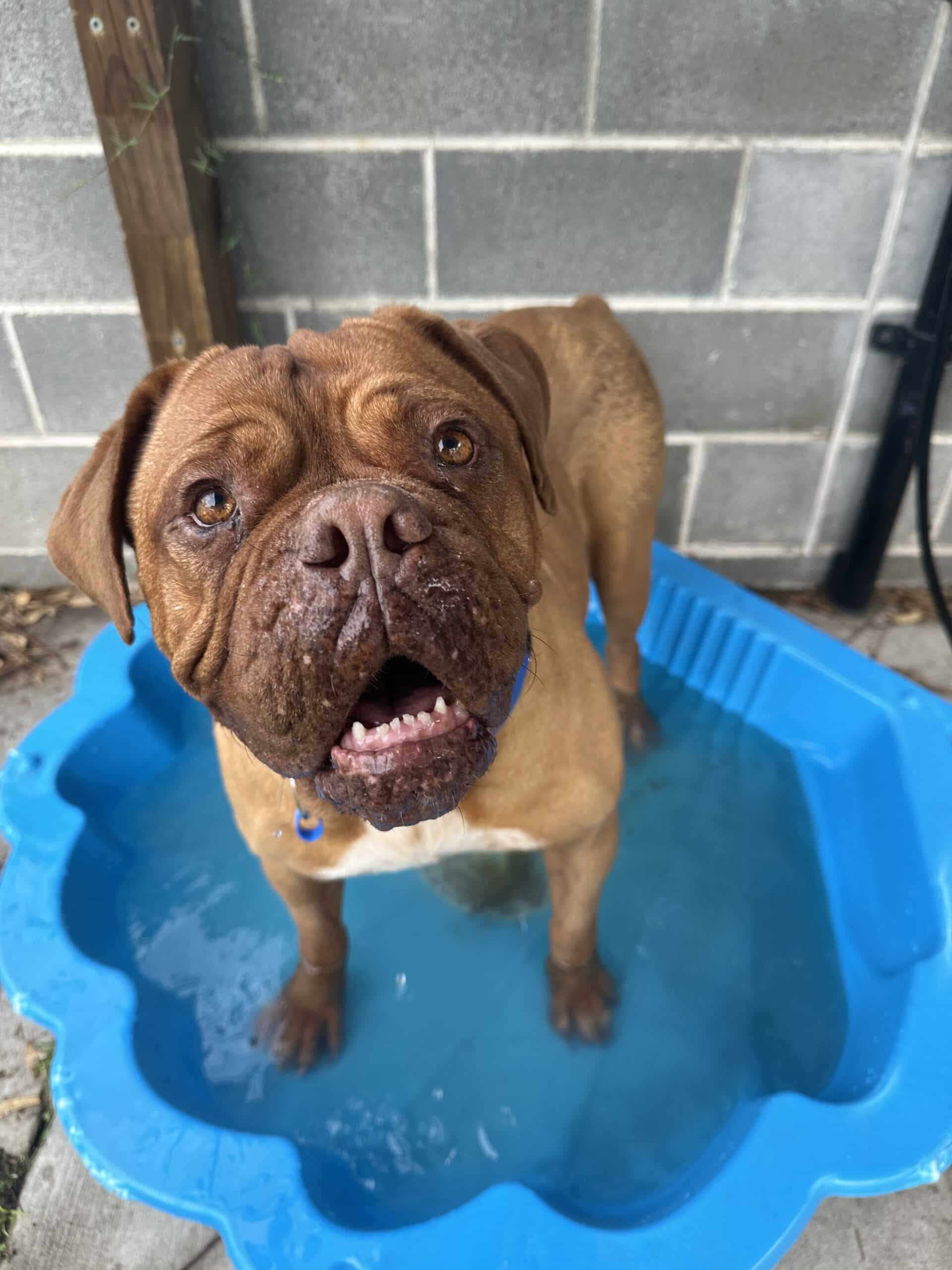 Bonnie